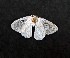  ( - AOCLep03035)  @11 [ ] Copyright (2023) A.S. Ortiz Unspecified