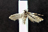  ( - AOCLep03050)  @11 [ ] Copyright (2024) A.S. Ortiz Unspecified