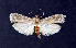  ( - AOCLep03056)  @11 [ ] Copyright (2024) A.S. Ortiz Unspecified