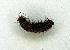  ( - AOCLep03073)  @11 [ ] Copyright (2024) A.S. Ortiz Unspecified
