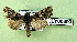  ( - AOCLep03112)  @11 [ ] Copyright (2024) A.S. Ortiz Unspecified