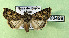  ( - AOCLep03116)  @11 [ ] Copyright (2024) A.S. Ortiz Unspecified