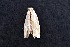  ( - AOCLep03139)  @11 [ ] Copyright (2025) A.S. Ortiz Unspecified