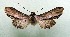  ( - AOCLep03153)  @11 [ ] Copyright (2025) A.S. Ortiz Unspecified