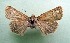  ( - AOCLep03154)  @11 [ ] Copyright (2025) A.S. Ortiz Unspecified