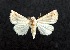  ( - AOCLep03158)  @11 [ ] Copyright (2025) A.S. Ortiz Unspecified