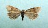  ( - AOCLep03167)  @11 [ ] Copyright (2025) A.S. Ortiz Unspecified