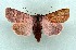  ( - AOCLep03209)  @11 [ ] Copyright (2025) A.S. Ortiz Unspecified