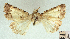  ( - AOCLep03241)  @11 [ ] Copyright (2025) A.S. Ortiz Unspecified