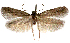  ( - AOCLep03255)  @11 [ ] Copyright (2025) A.S. Ortiz Unspecified