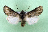  ( - AOCLep03355)  @11 [ ] Copyright (2025) A.S. Ortiz Unspecified