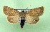  ( - AOCLep03389)  @11 [ ] Copyright (2025) A.S. Ortiz Unspecified