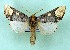  ( - AOCLep03393)  @11 [ ] Copyright (2025) A.S. Ortiz Unspecified