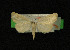  ( - AOCLep03422)  @11 [ ] Copyright (2025) A.S. Ortiz Unspecified
