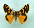  ( - AOCLep03432)  @11 [ ] Copyright (2025) A.S. Ortiz Unspecified