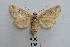  ( - AOCLep03451)  @11 [ ] Copyright (2025) A.S. Ortiz Unspecified