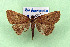  ( - AOCLep03502)  @11 [ ] Copyright (2025) A.S. Ortiz Unspecified