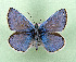  ( - AOCLep03512)  @11 [ ] Copyright (2025) A.S. Ortiz Unspecified
