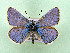  ( - AOCLep03513)  @11 [ ] Copyright (2025) A.S. Ortiz Unspecified