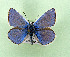  ( - AOCLep03514)  @11 [ ] Copyright (2025) A.S. Ortiz Unspecified