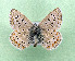  ( - AOCLep03515)  @11 [ ] Copyright (2025) A.S. Ortiz Unspecified