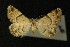  (Odice blandula - AOC Lep 00295)  @14 [ ] Copyright (2014) Axel Hausmann/Bavarian State Collection of Zoology (ZSM) Universidad de Murcia