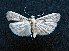  ( - AOC Lep 01310)  @11 [ ] Unspecified (default): All Rights Reserved  Unspecified Unspecified