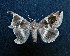  ( - AOC Lep 01373)  @11 [ ] Unspecified (default): All Rights Reserved  Unspecified Unspecified