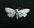  ( - AOC Lep 01451)  @11 [ ] Unspecified (default): All Rights Reserved  Unspecified Unspecified