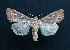 ( - AOC Lep 01479)  @11 [ ] Unspecified (default): All Rights Reserved  Unspecified Unspecified