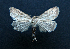  ( - AOC Lep 01484)  @11 [ ] Unspecified (default): All Rights Reserved  Unspecified Unspecified