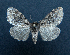  ( - AOC Lep 01492)  @11 [ ] Unspecified (default): All Rights Reserved  Unspecified Unspecified