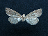  ( - AOC Lep 01500)  @11 [ ] Unspecified (default): All Rights Reserved  Unspecified Unspecified