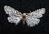  ( - AOC Lep 01533)  @11 [ ] Copyright (2020) Unspecified Unspecified