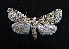  ( - AOC Lep 01541)  @11 [ ] Copyright (2020) Unspecified Unspecified