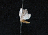  ( - AOC Lep 01589)  @11 [ ] Copyright (2020) Unspecified Unspecified
