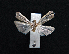  ( - AOC Lep 01610)  @11 [ ] Copyright (2020) Unspecified Unspecified