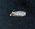  ( - AOC Lep 01701)  @11 [ ] Copyright (2020) A.S. Ortiz Unspecified