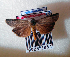  ( - AOC Lep 01732)  @11 [ ] Copyright (2021) A.S. Ortiz Unspecified