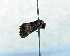  ( - AOC Lep 01834)  @11 [ ] Copyright (2021) A.S. Ortiz Unspecified