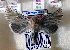  ( - AOC Lep 01844)  @11 [ ] Copyright (2021) A.S. Ortiz Unspecified