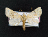  ( - AOC Lep 02134)  @11 [ ] Copyright (2021) A.S. Ortiz Unspecified