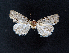  ( - AOC Lep 02137)  @11 [ ] Copyright (2021) A.S. Ortiz Unspecified
