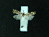  ( - AOC Lep 02246)  @11 [ ] Copyright (2021) A.S. Ortiz Unspecified