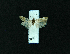  ( - AOC Lep 02248)  @11 [ ] Copyright (2021) A.S. Ortiz Unspecified