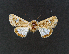  ( - AOC Lep 02339)  @11 [ ] Copyright (2022) A.S. Ortiz Unspecified