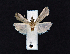  ( - AOC Lep 02381)  @11 [ ] Copyright (2022) A.S. Ortiz Unspecified