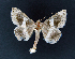  ( - AOC Lep 02388)  @11 [ ] Copyright (2022) A.S. Ortiz Unspecified
