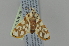  ( - BC MTD 01961)  @12 [ ] Unspecified (default): All Rights Reserved (2012) M. Nuss, Senckenberg Museum of Zoology, Dresden Senckenberg Museum of Zoology, Dresden