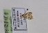  (Glaucocharis chelatella - BC NKU 09160)  @13 [ ] Unspecified (default): All Rights Reserved  Unspecified Unspecified